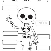 Writing Worksheet