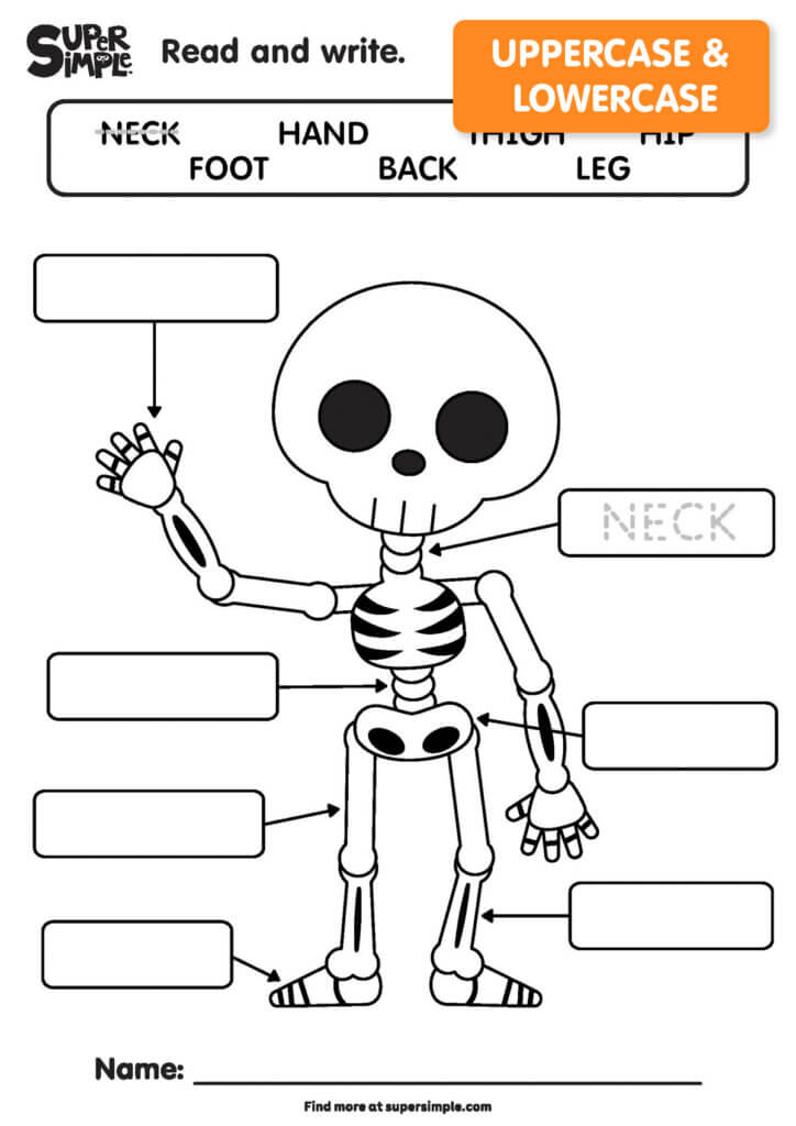 Writing Worksheet