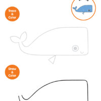 Super Simple Draw - Whale