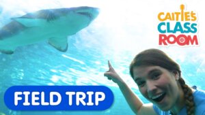 Learn All About Sharks & Sing Baby Shark at the Aquarium!