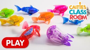 Learn Colors with Amazing Robot Fish!