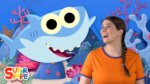 Baby Shark - Nursery Rhymes With Caitie