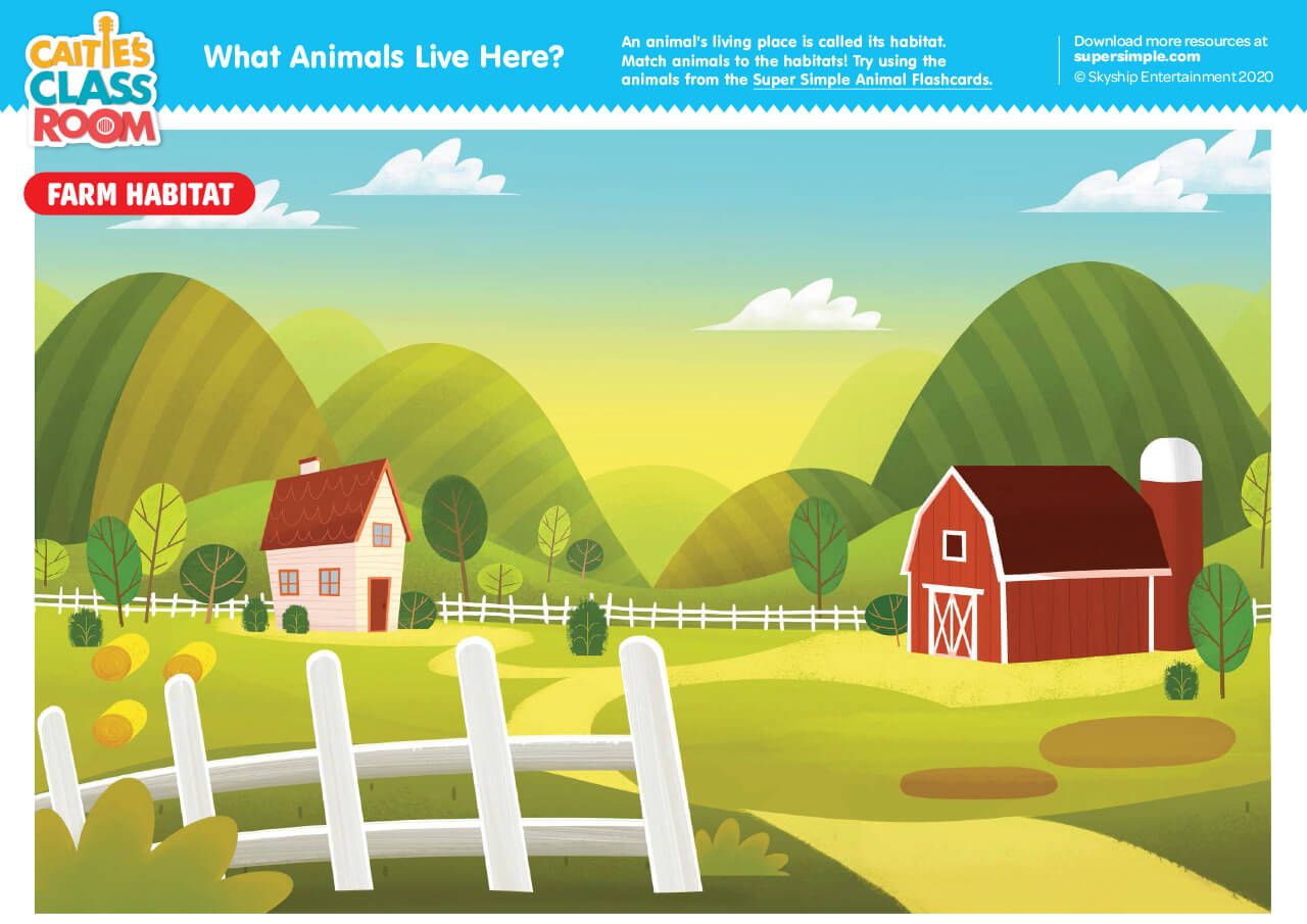 What Animals Live Here? - Super Simple