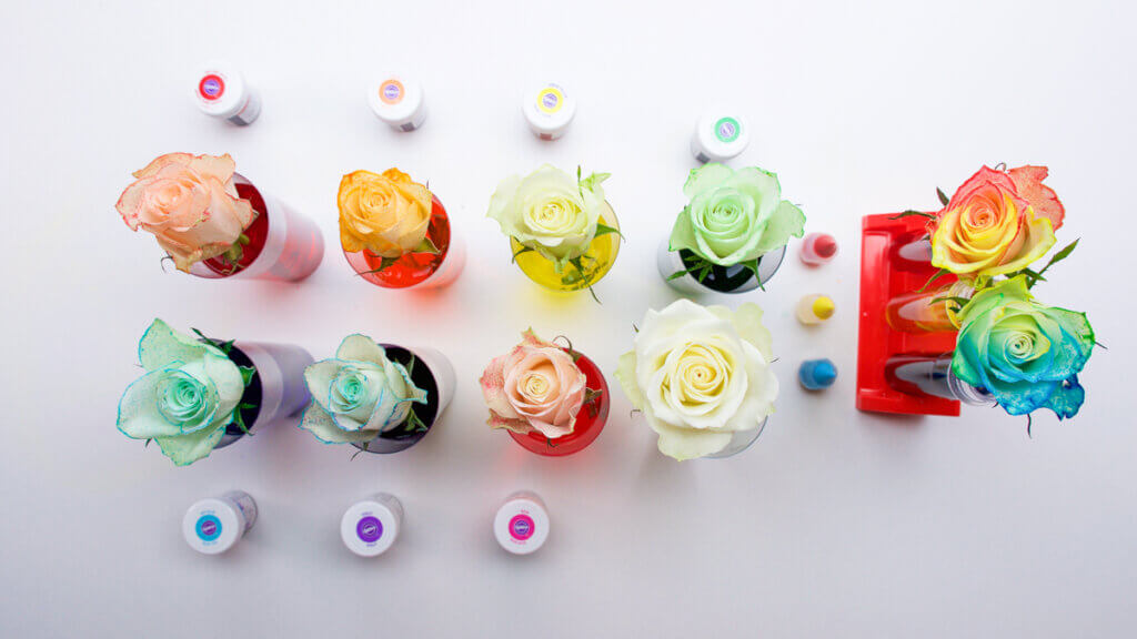 Flower Dyeing Activity Super Simple