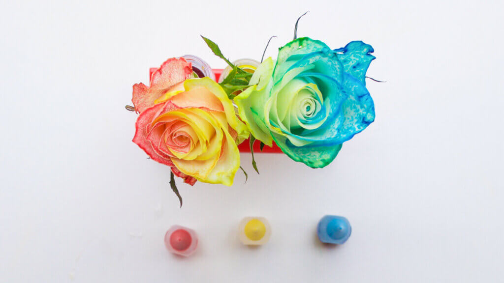 Flower Dyeing Activity Super Simple