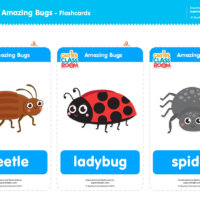 Caitie's Classroom Amazing Bugs Flashcards
