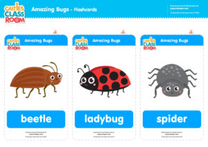 Caitie's Classroom Amazing Bugs Flashcards