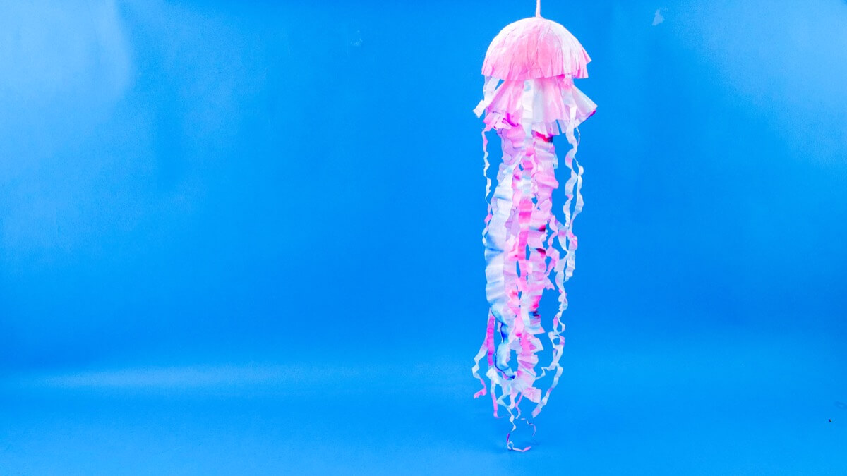 The Jellyfish Craft