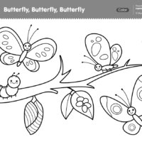 Imagination Time - Butterfly Butterfly Butterfly Coloring Page
