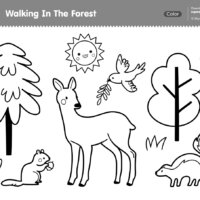 Imagination Time - Walking In The Forest Coloring Page