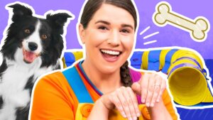 Let's Learn About Dog Training!