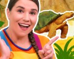 Let's Learn About Reptiles
