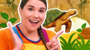 Let's Learn About Reptiles