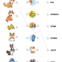 I Love My Dog - Matching Worksheet (Advanced)