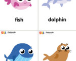 I'm A Baby Fish Flashcards