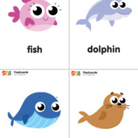 I'm A Baby Fish Flashcards