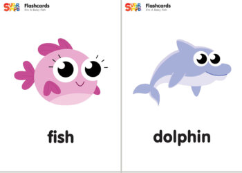 I'm A Baby Fish Flashcards