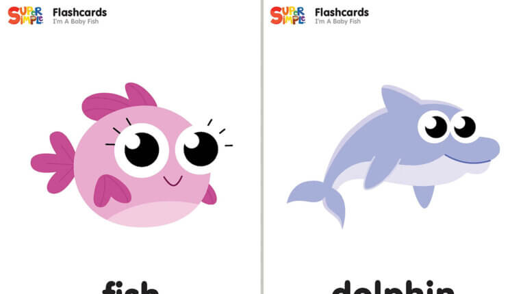 I'm A Baby Fish Flashcards