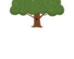 The Family Tree - Draw Your Family Worksheet