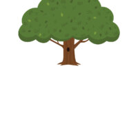 The Family Tree - Draw Your Family Worksheet