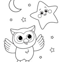 Star & Owl Coloring Pages