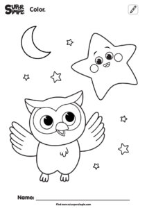 Star & Owl Coloring Pages