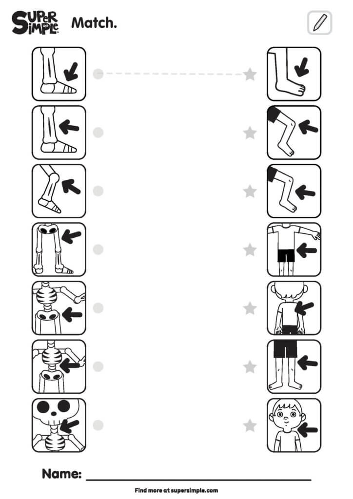 The Skeleton Dance - Matching Worksheet (2 Columns)
