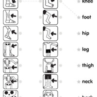 The Skeleton Dance - Matching Worksheet (3 Columns)