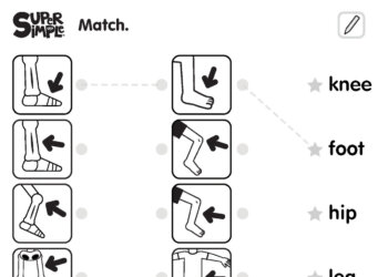 The Skeleton Dance - Matching Worksheet (3 Columns)