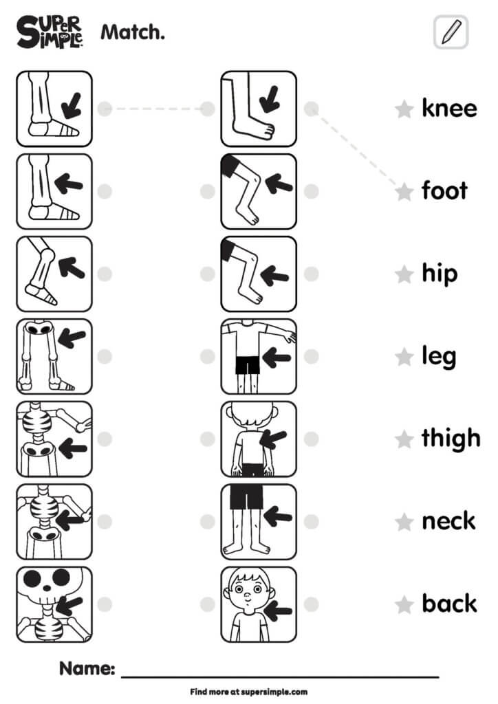 The Skeleton Dance - Matching Worksheet (3 Columns)