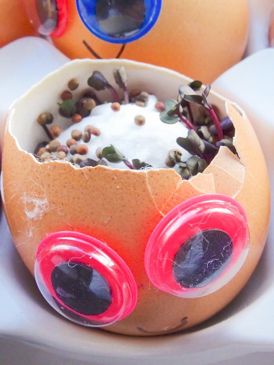 Googly Eye Egg Heads