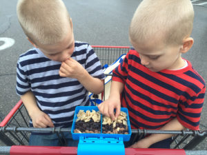 Taking Your Kids to the Grocery Store