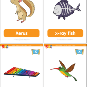 Captain Seasalt And The ABC Pirates "Z" Flashcards - Super Simple