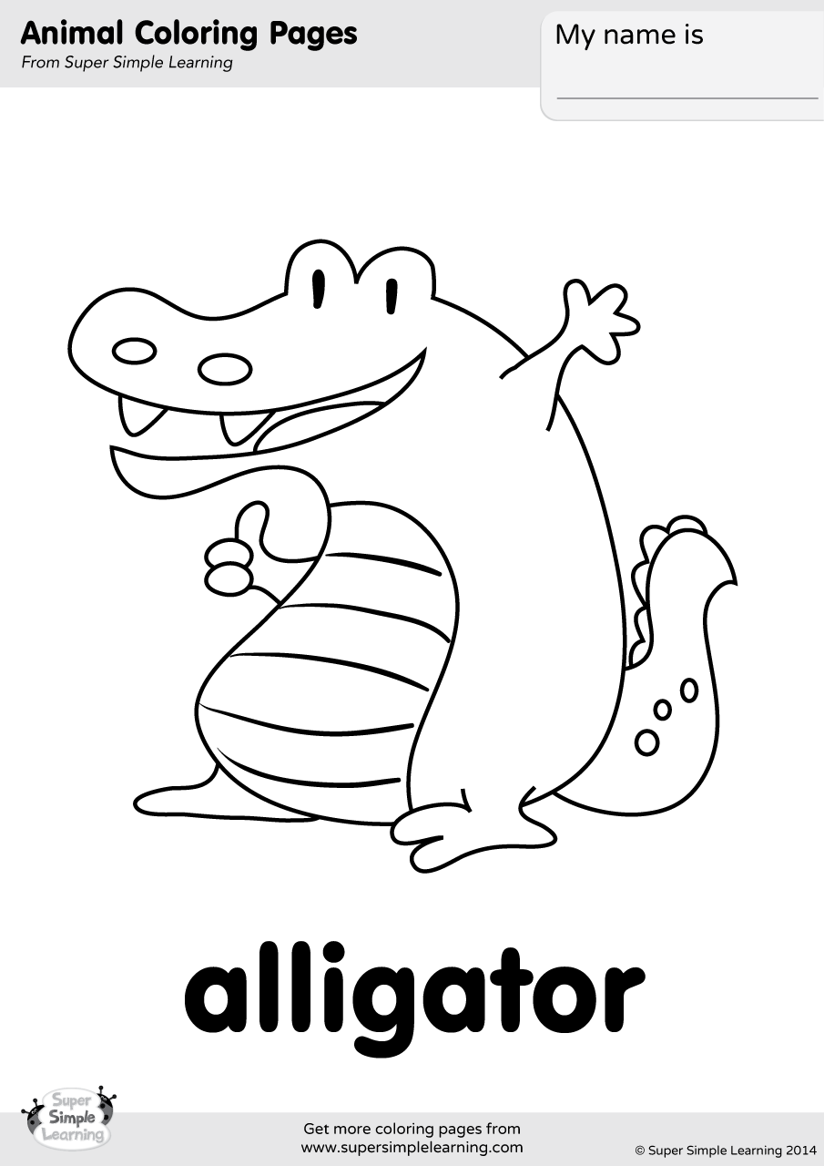 Alligator Coloring Page   Super Simple
