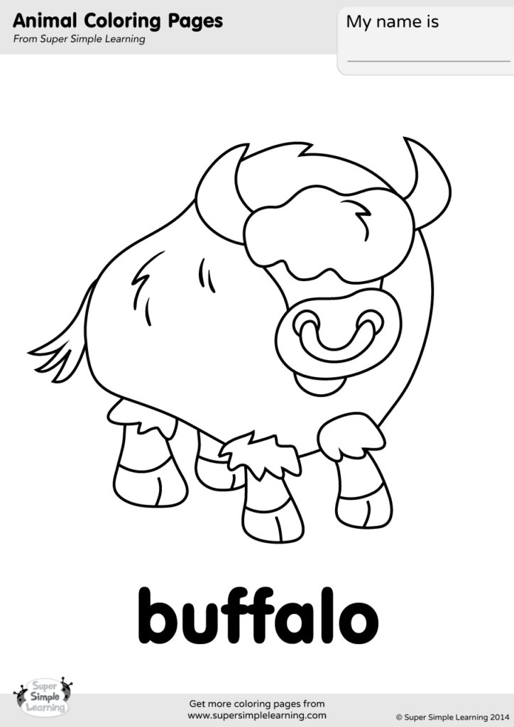 Download Buffalo Coloring Page - Super Simple