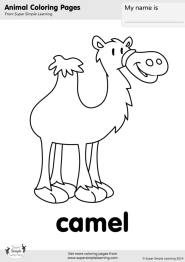 Camel Coloring Page - Super Simple