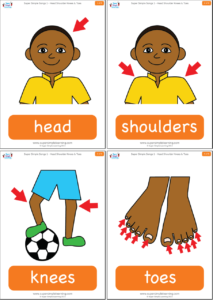 Head Shoulders Knees & Toes Flashcards - Super Simple