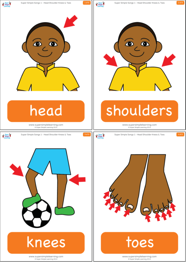 Head Shoulders Knees & Toes Flashcards - Super Simple