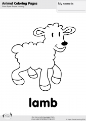 Lamb Coloring Page - Super Simple