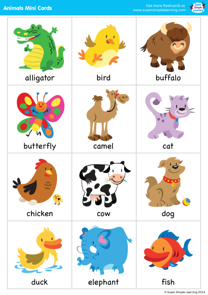 Clarissa055 Animals Of All Kinds Flashcards