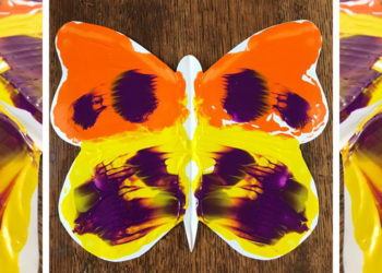 Butterfly Symmetry Activity